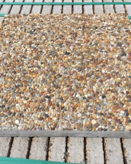 Picola (fövenybarna)